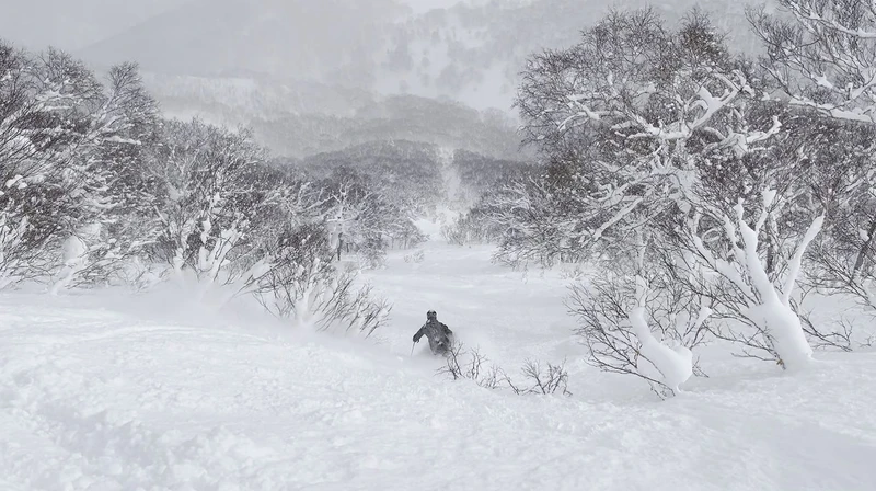 653be1d2a6cac Powder Through Gate 5 at Niseko Hanazono