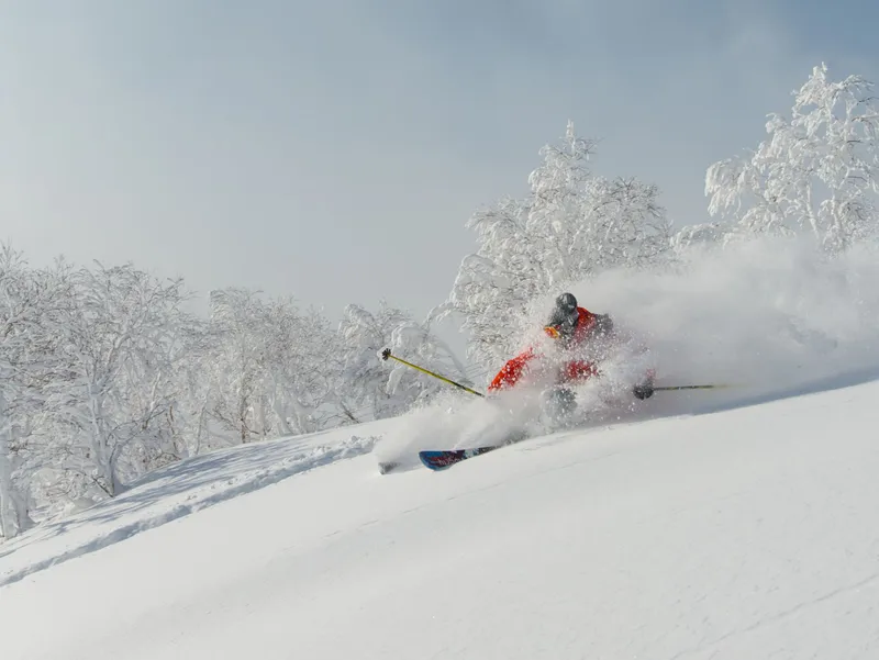 Pristine Powder in Niseko © Niseko Village