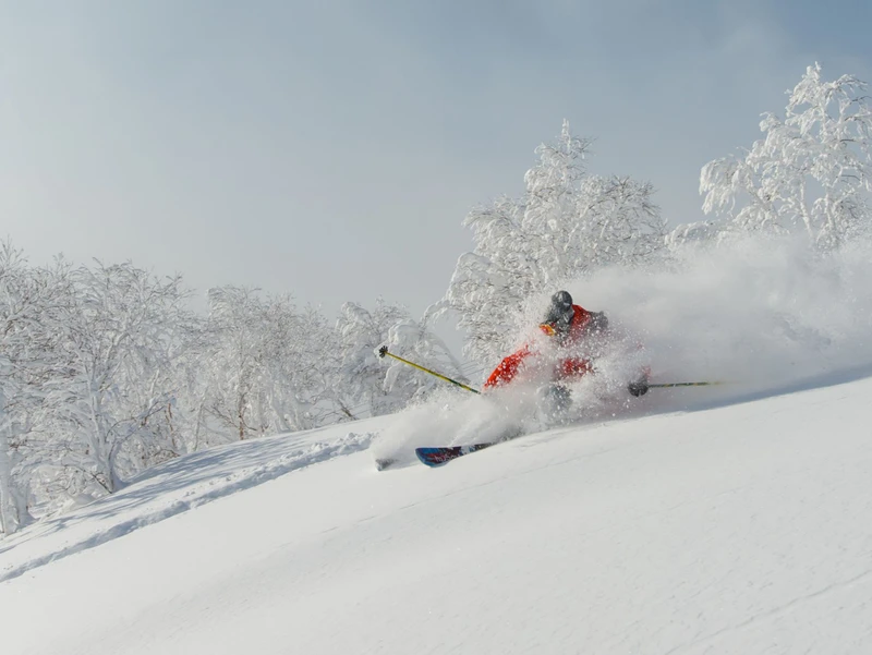 Pristine Powder in Niseko © Niseko Village
