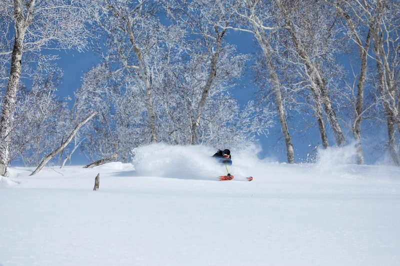 653be1d410123 Bluebird Powder Niseko Village