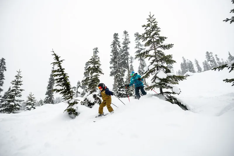 653f993af41b720200226 WB Strain 004 1