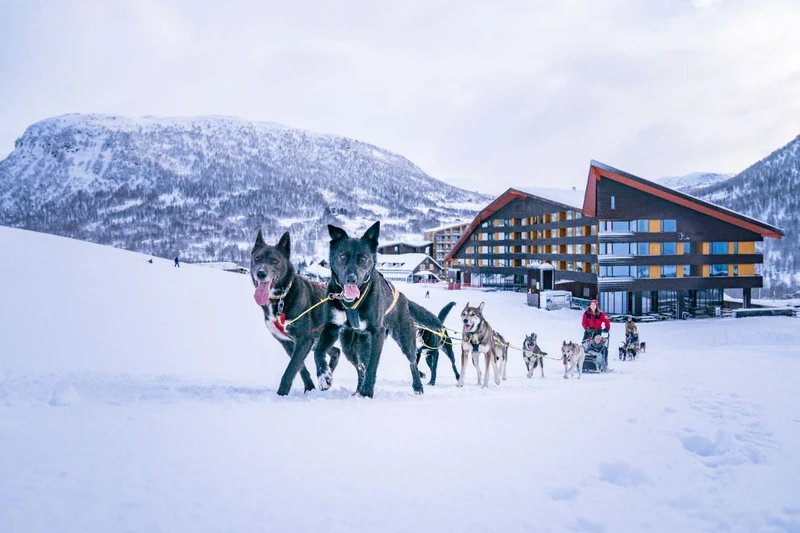 654b94621277e Dog Sledding from Myrkdalen Hotel Sverre F Hjornevik