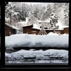 Residence Yasushi - View onto the Forest