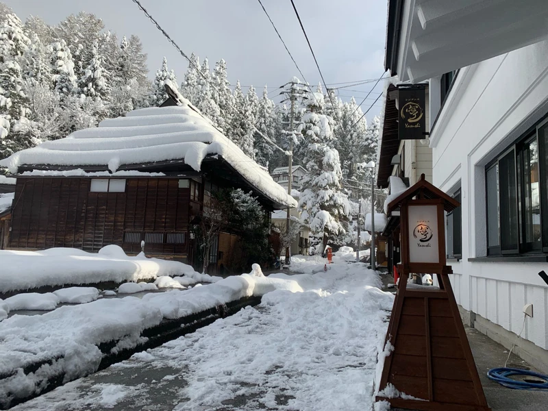 Residence Yasushi - Exterior path