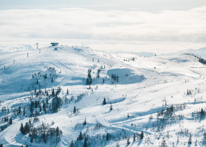 654e44111298349551374503 c2b54ba70d k 1