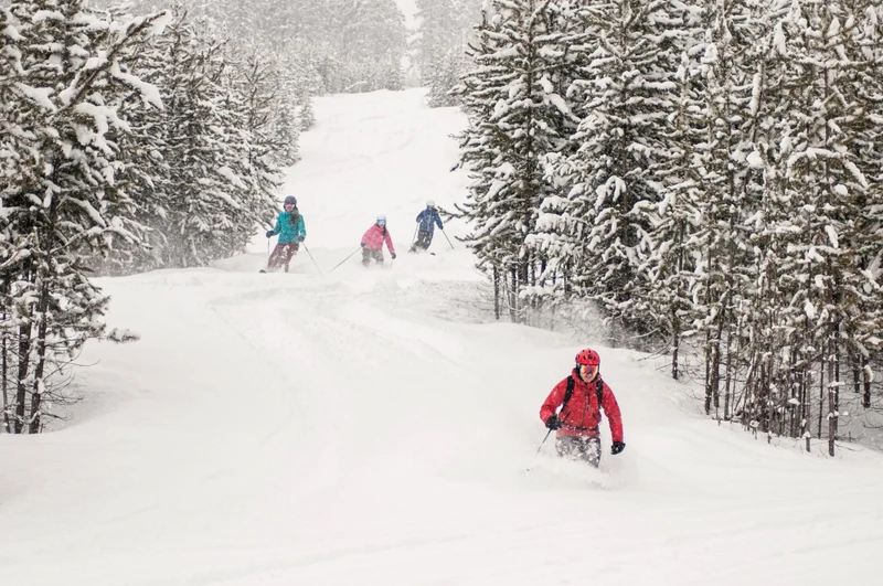 655dc7da67c82 Panorama Powder Glades Kari Medig Panorama Mountain Resort