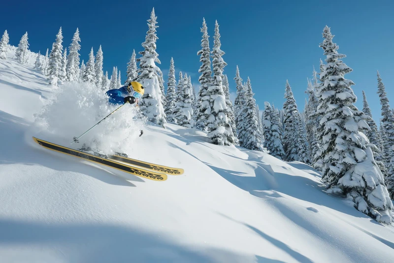655dc814af9e2 Revelstoke Bluebird Powder Day in February Tally Ho Glades Tom Poole