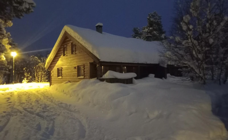 Geilolia Forest Cabins at night - James Wimble - January 2023