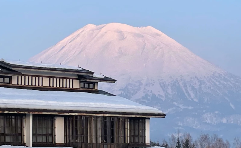 Green Leaf, Niseko, Japan - Michael Luke - March 2023