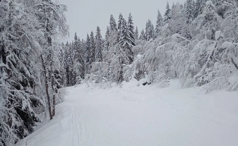 Quiet slopes, Are, Sweden - Fiona Douglas - January 2024
