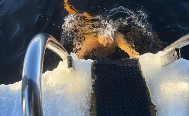 Gaustablikk Fjellresort, Gausta, Norway - Simon Pattinson - February 2024