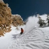 Powder Snowboarder Mammoth © Alterra Mountain Company