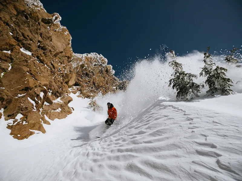 Powder Snowboarder Mammoth © Alterra Mountain Company
