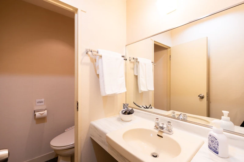 661e59a86165b Phoenix Hotel Hakuba Japan Vanity Toilet