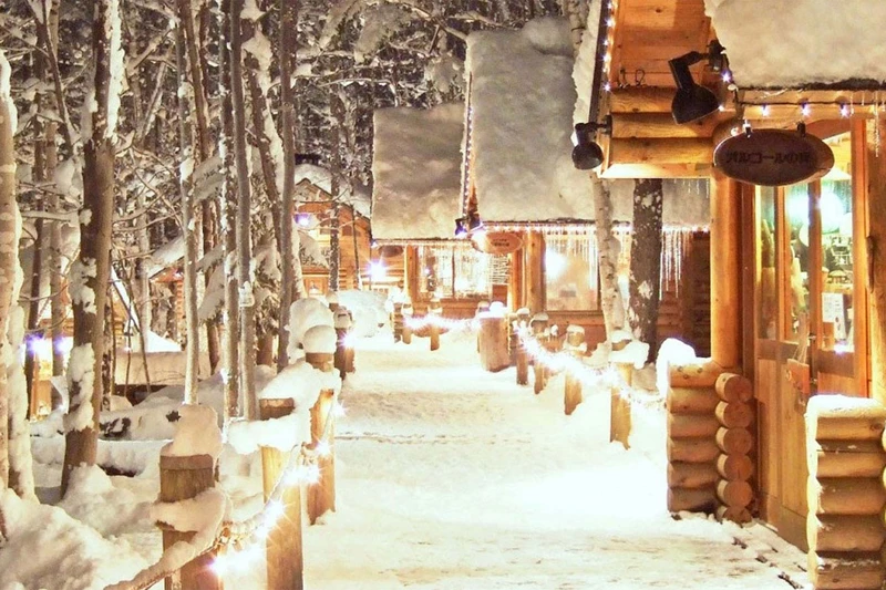 Shin Furano Prince Hotel - Shops in Ningle Terrace