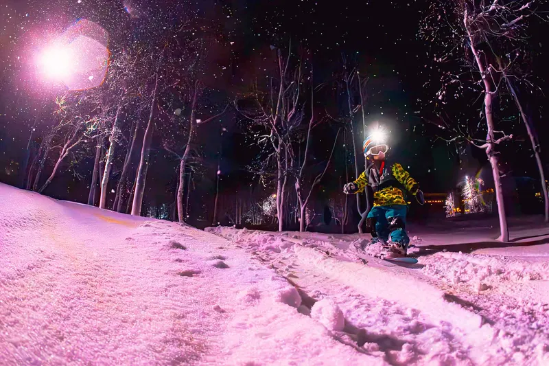 663a14908ae06 Adventure Forest Myrkdalen Norways Best Photo by Chris Baldry