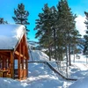 663e4522c1f4c Cabin exterior Geilolia Forest Cabins