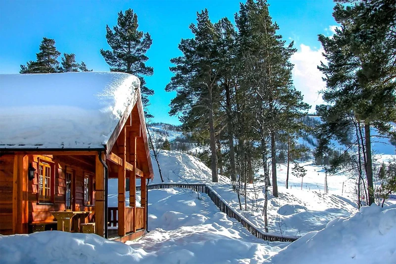 663e4522c1f4c Cabin exterior Geilolia Forest Cabins