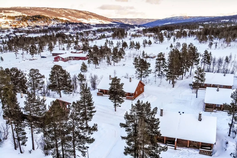 663e4ac74d7b2 Aerial view of cabins Geilolia Forest Cabins