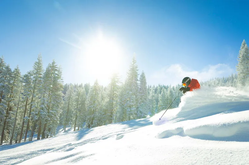 Skiing powder, Northstar © Hamill, Vail Resorts