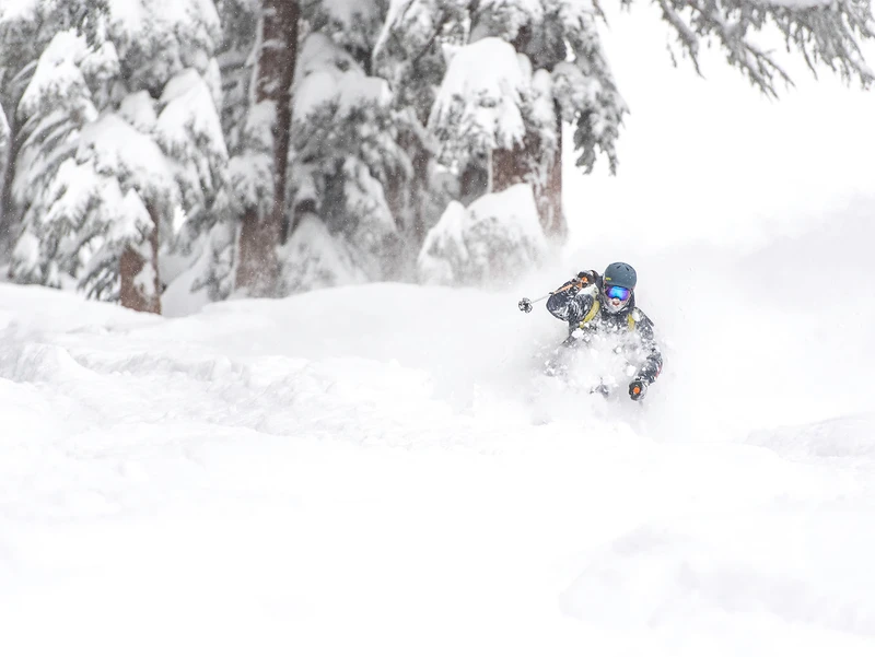 Skier in deep powder - Kirkwood, USA © Cohen, Vail Resorts