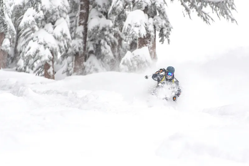 Skier in deep powder - Kirkwood, USA © Cohen, Vail Resorts