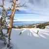 Skiers facing views across Tahoe - Heavenly, USA © Ficeto, Vail Resorts