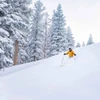 667ad9de88d2e Skiing through fluffy snow Northstar USA Hamill Vail Resorts