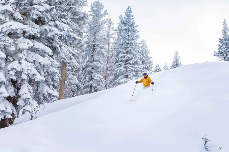 667ad9de88d2e Skiing through fluffy snow Northstar USA Hamill Vail Resorts