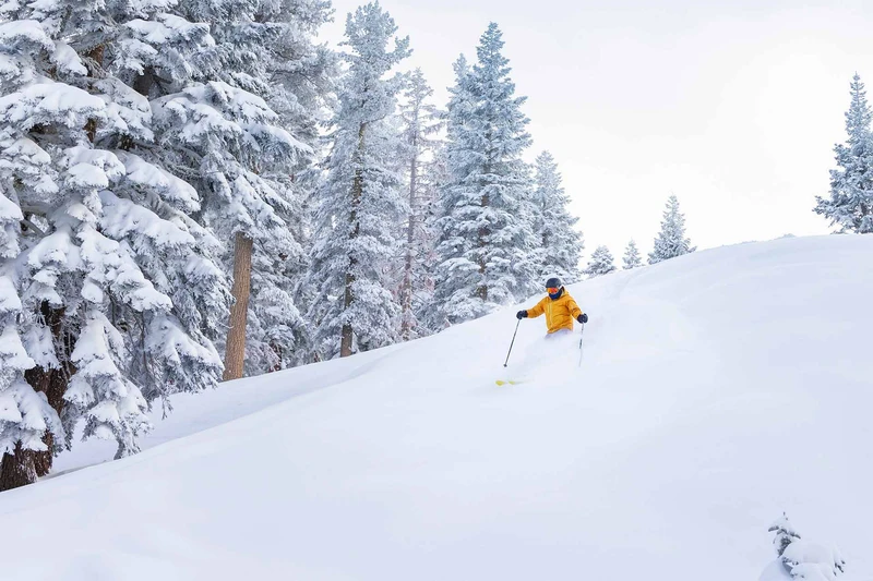 667ad9de88d2e Skiing through fluffy snow Northstar USA Hamill Vail Resorts