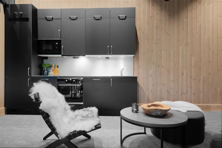 667aedb4eec3a Yttersvingen Comfort and Family apartment kicthen