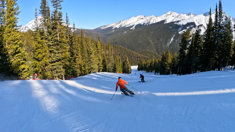 6687fd811099f Skiing between the trees Mount Norquay 2