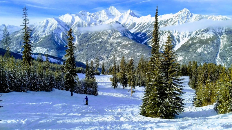 66b5e48f5750420190111 125326 EFFECTS 1 1