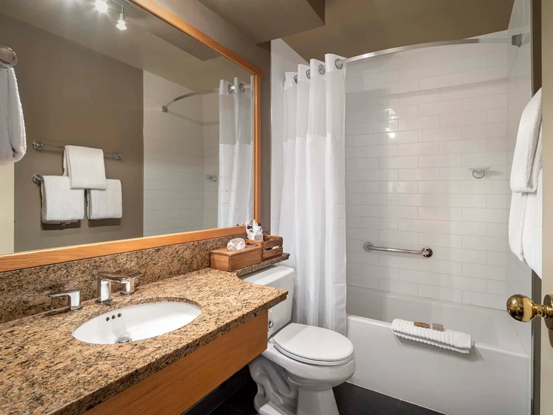 66c74a8e1791b Emerald Lake Lodge Lake View Room Bathroom