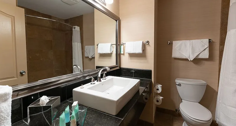 66c74d90779bd Prestige Inn Bathroom