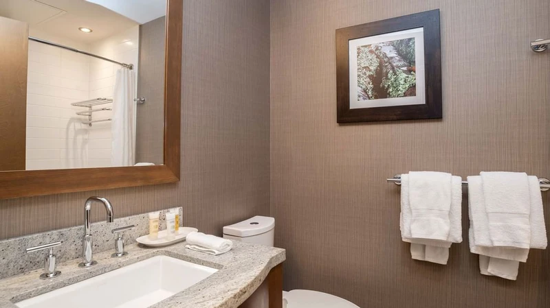 66c7521898dba Sutton Place Hotel Bathroom