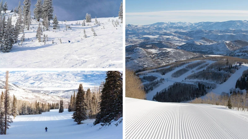 66d59416376f7 Untitled 11