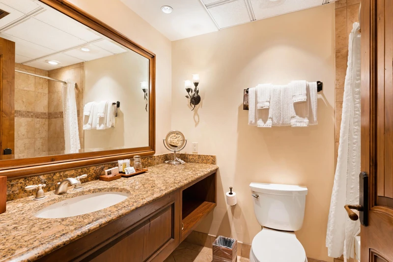 66d6ced004bbd Tivoli Lodge 1 King Village View Bathroom