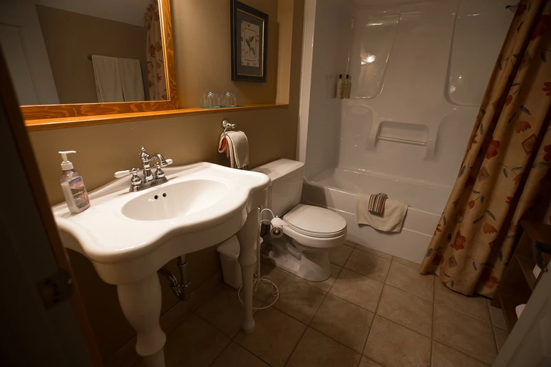 66d6dd1d8c7ba Vagabond Lodge Mountain View Bathroom