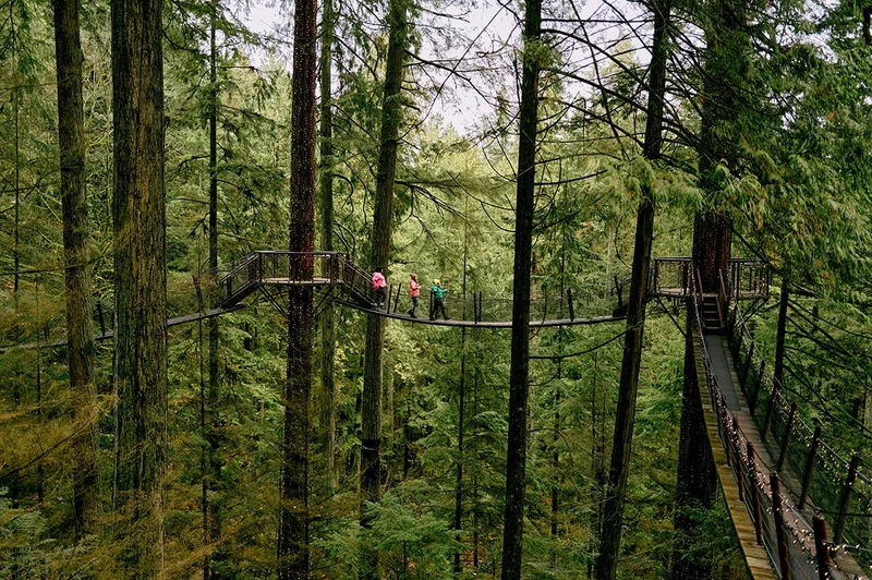 66d9ca8ee83a4 Capilano Suspension Bridge Park Destination Vancouver
