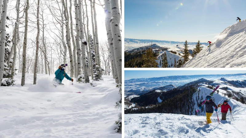 66e995a048bcc Untitled 5