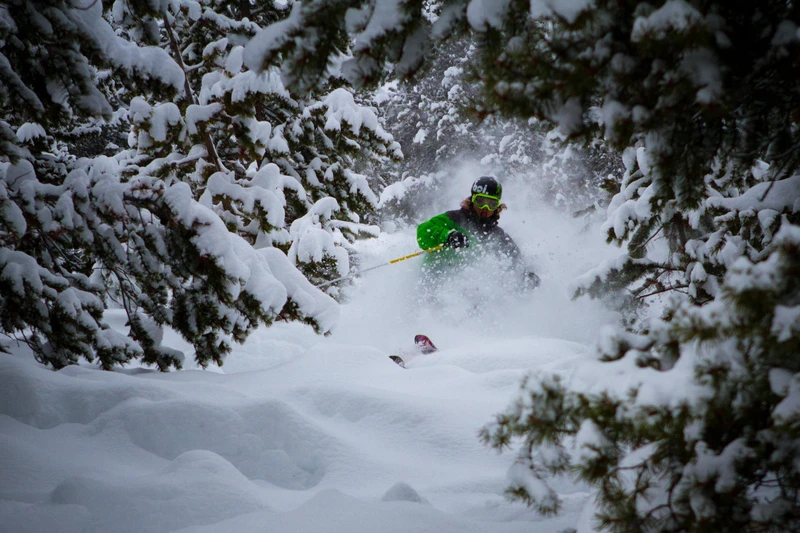 66fac76337838panorama tree skiing credit panorama mountain resort simplestix