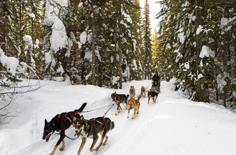 66fc174f4e67f DSC 3788 1