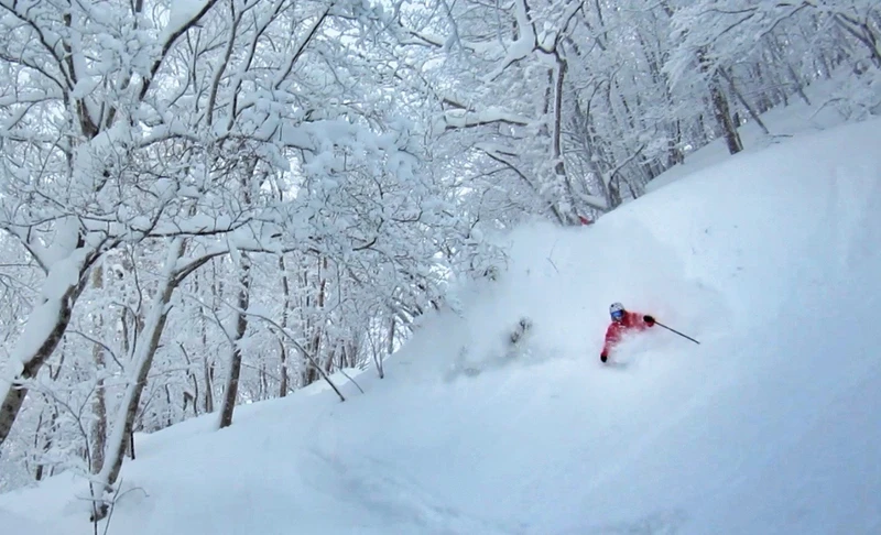 Andy Evans Skiing in Japan