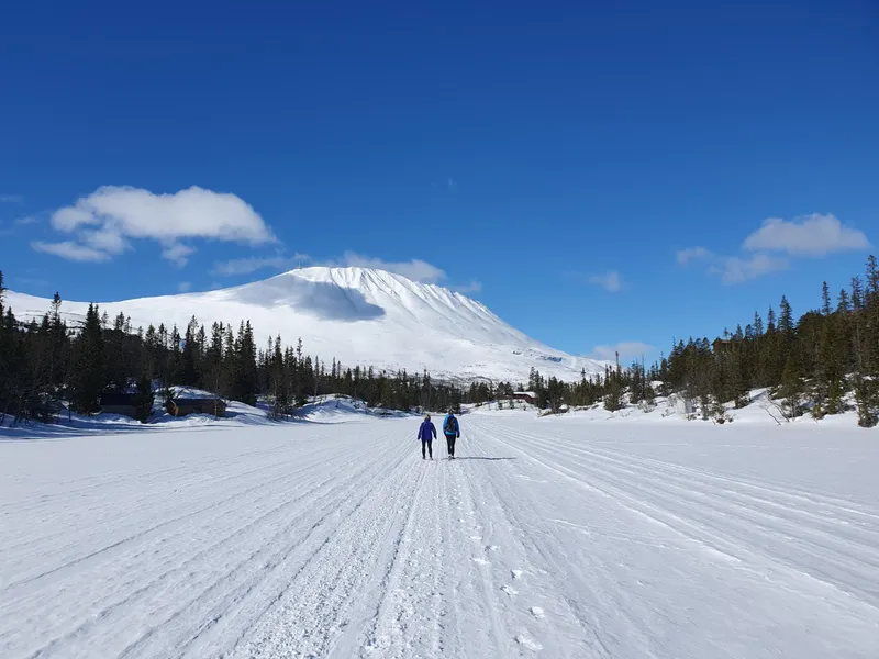 670557fb7d449 Walking Towards Gaustatoppen Company Weekend