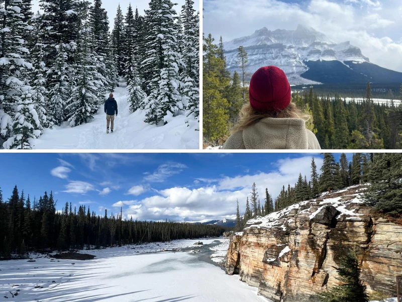 6735eae2ca7bf Scenic stops along the Icefields Parkway