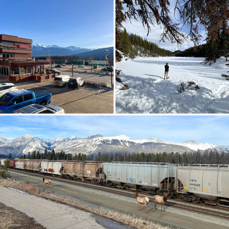 6735ed90c9398 Crimson Jasper Moose Lake and Elk in Town