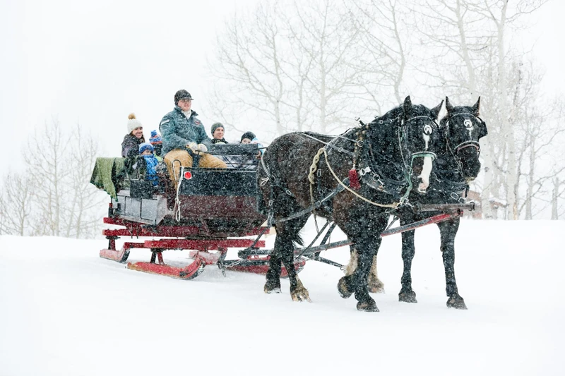 673f190d7da4d Park City Family Sleigh Ride Park City Chamber Bureau