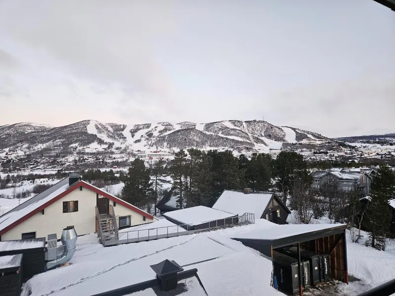 677bf5da03a2820241220 092952