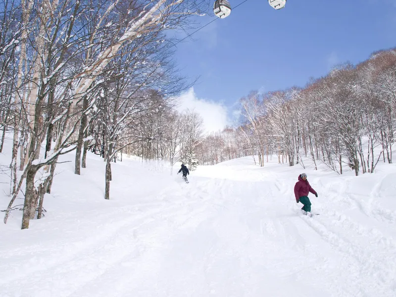 Hakuba Tsugaike Powder Piste